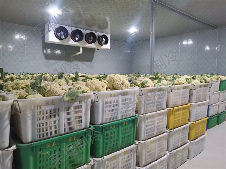 云南冷库工程的防潮层要采用什么材料